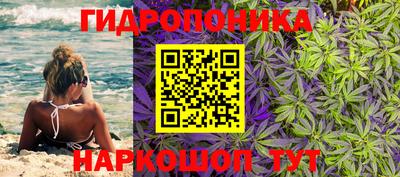 spice Пенза