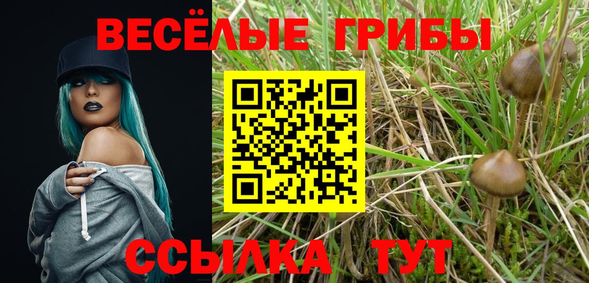 Псилоцибиновые грибы MAGIC MUSHROOMS Сибай